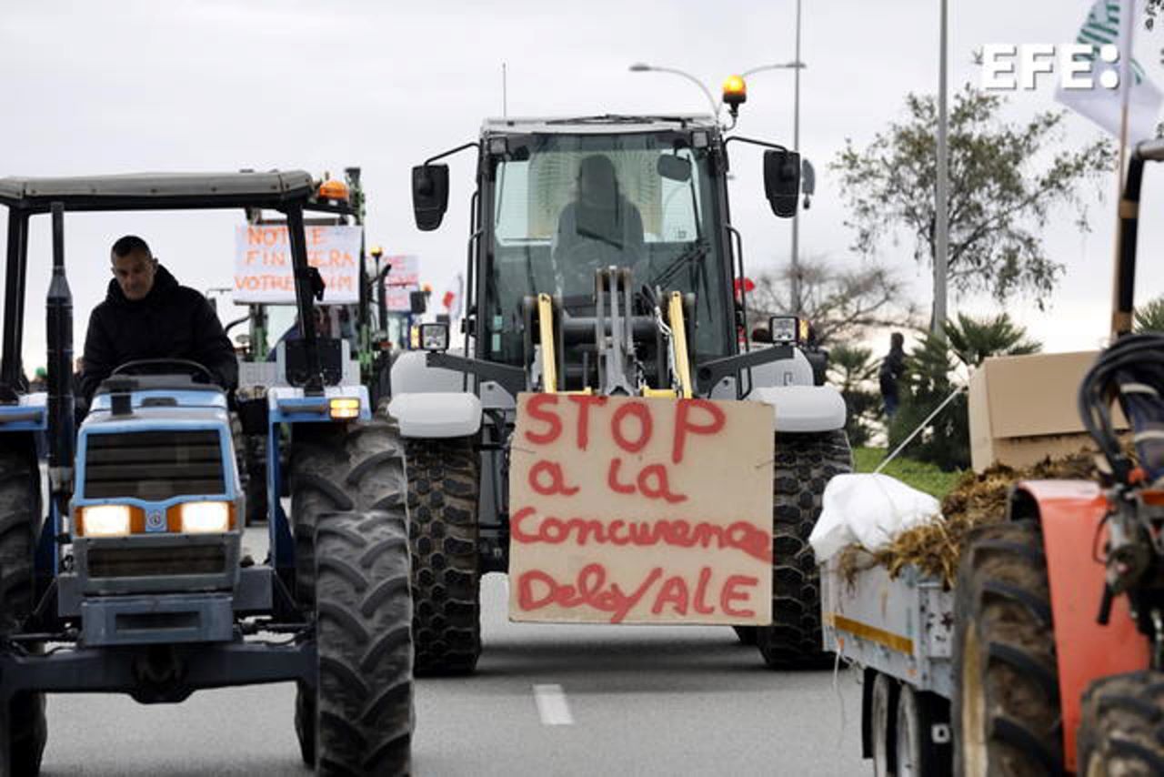 Las protestas de los agricultores Una mirada a la situación en Francia