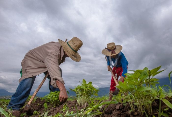 sistema de trazabilidad de mercancías