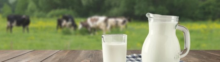 producción de leche en México