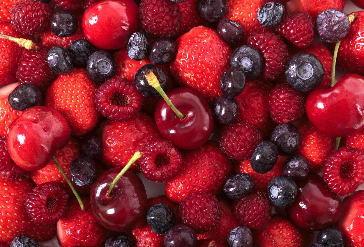 exportación de berries