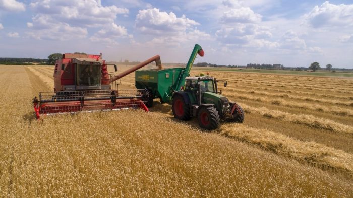 Rusia evalúa suspender temporalmente sus exportaciones de trigo y otros cereales