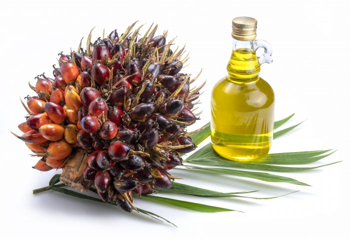 Se levanta la prohibición de exportación de aceite de palma de Indonesia