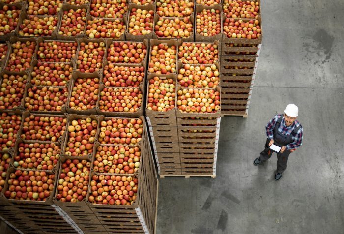 Situación De La Exportación Y Distribución De Alimentos, Según La FAO