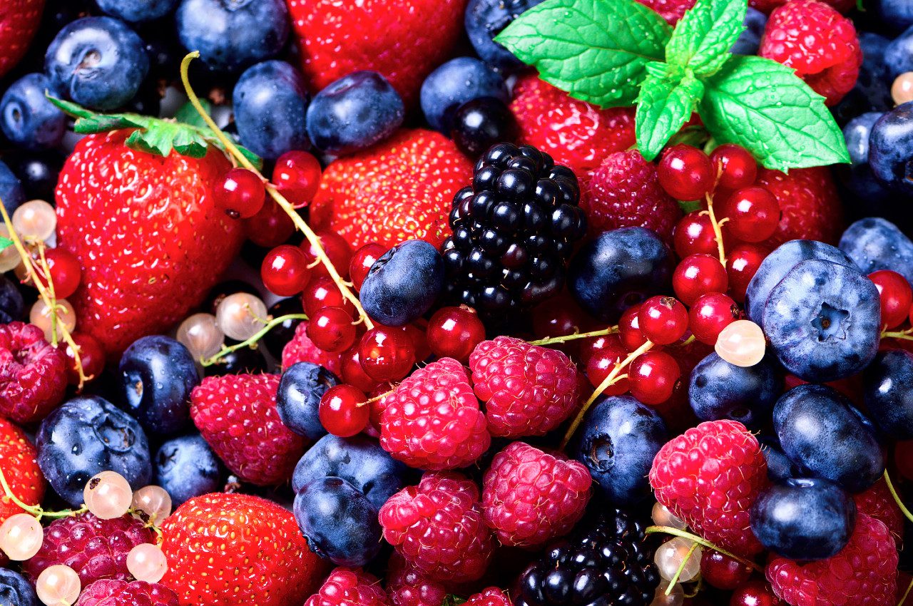 producción de berries