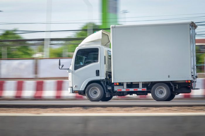 San Valentín memorable: ¿cuál es el rol del transporte refrigerado el 14 de febrero?