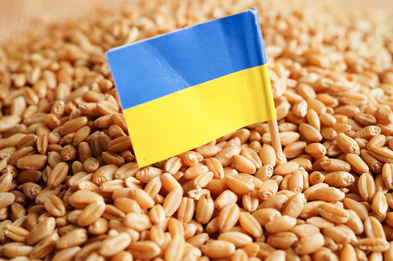 Ucrania insta a no extender veto a sus importaciones de grano en Europa