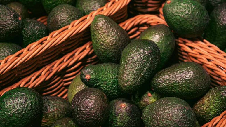exportación de productos agrícolas