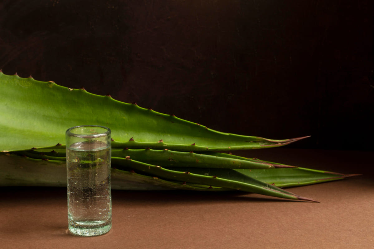 Tequila exportación