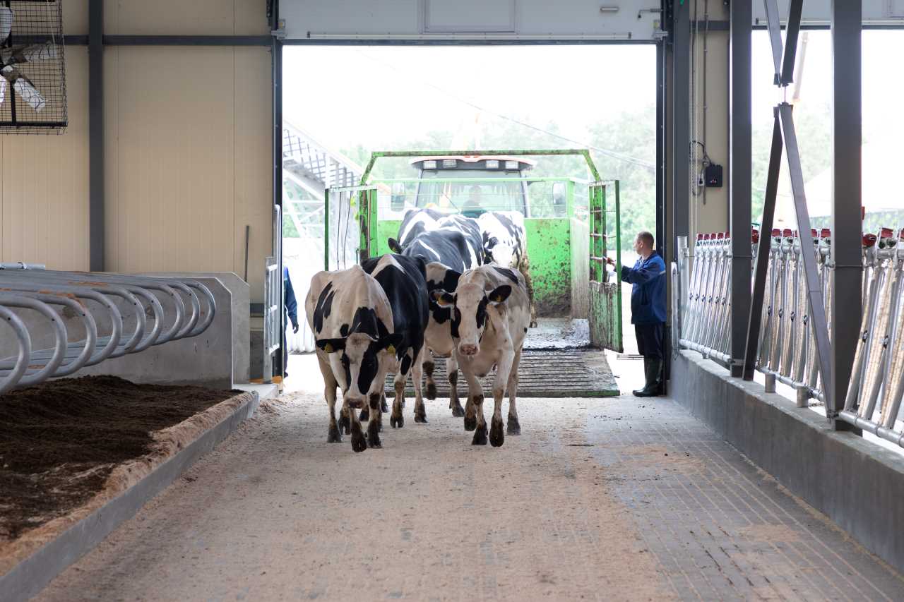 Tecnolog&iacute;as avanzadas para la mejora del bienestar animal durante el  transporte de ganado
