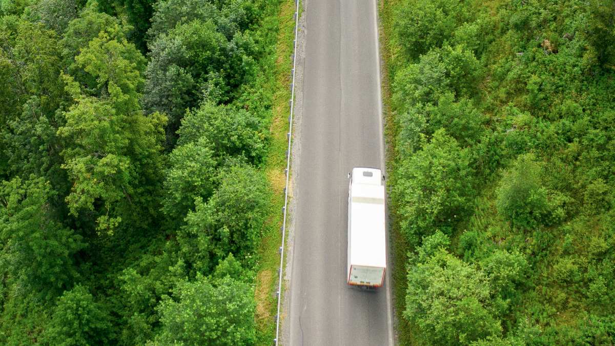 transportación sostenible