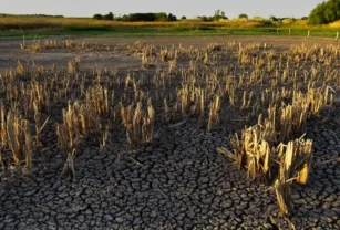 Cambio climático