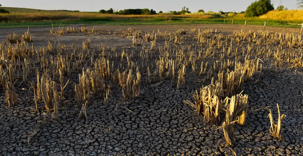 Cambio climático