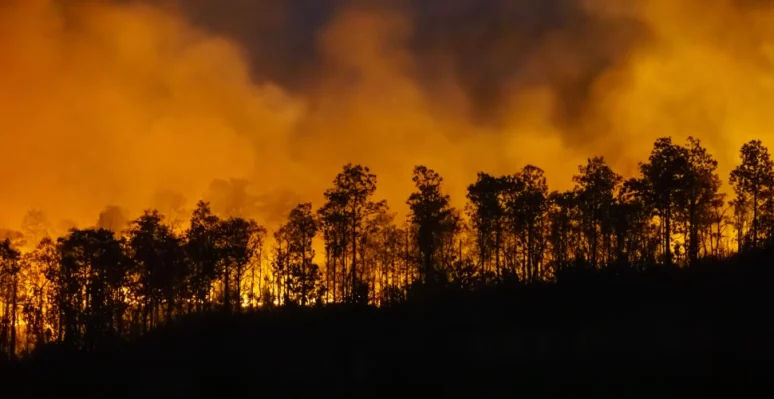 incendios-forestales-proteccion-cadena-suministro