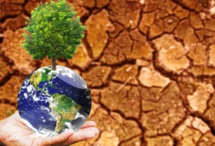 cambio-climatico-logistica-mundo-cadenas-suministro