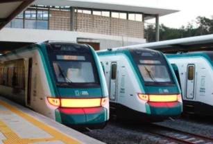 tren-maya-carga-yucatan