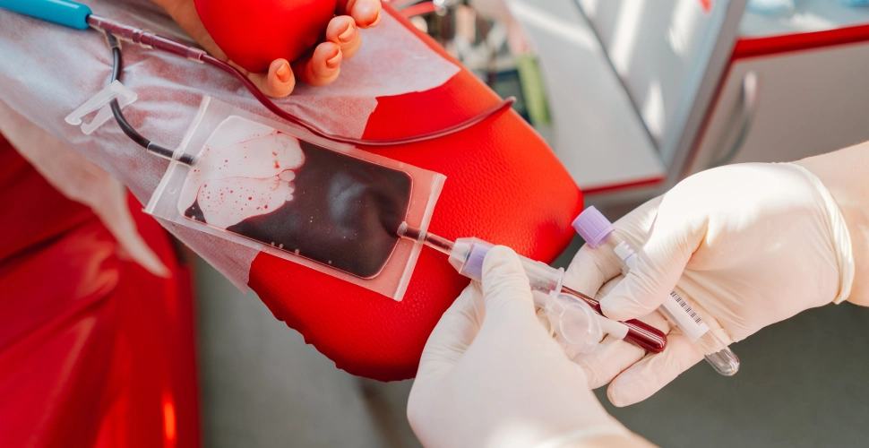 donacion-sangre-mexico-cruz-roja