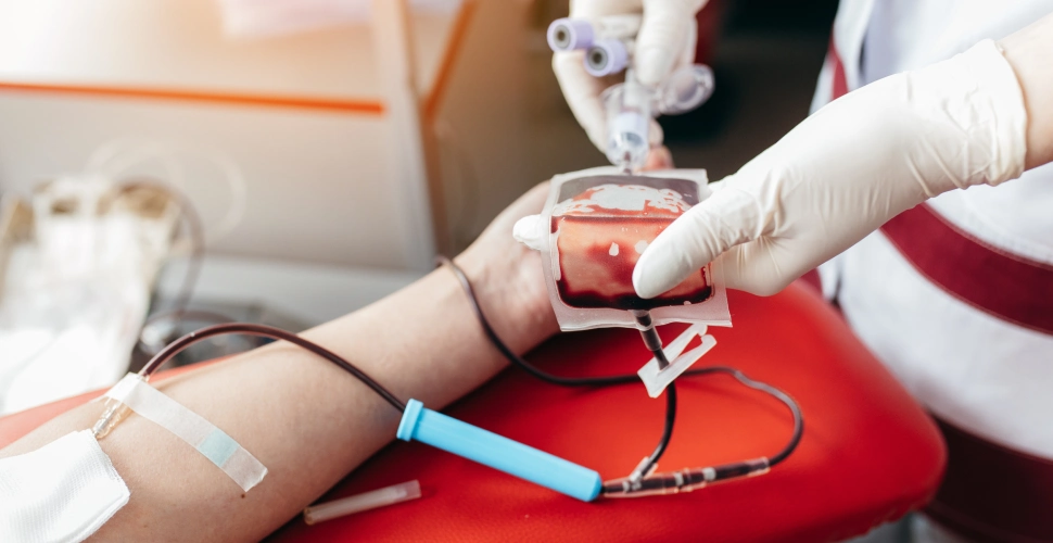sangre-donaciones-cruz-roja
