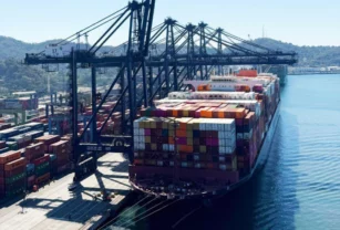 puerto-manzanillo-terminal-importaciones