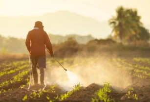 robo-agroquímicos-mexico