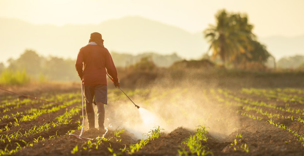 robo-agroquímicos-mexico