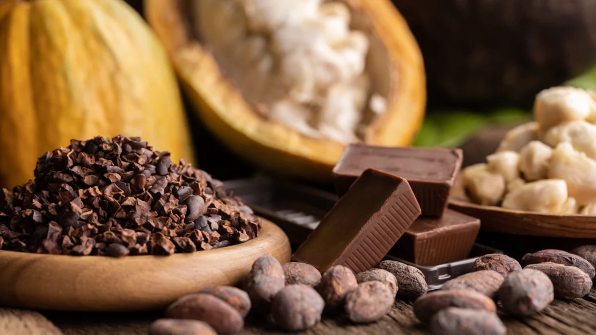 chocolate-cafe-produccion-mexico