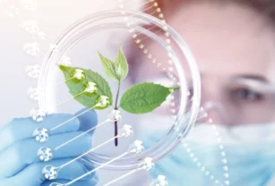 Biotecnología cadena de suministro