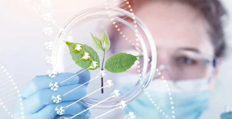 Biotecnología cadena de suministro