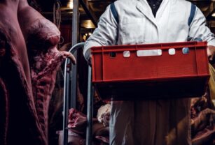 Fases para garantizar el arribo de importación de carne.