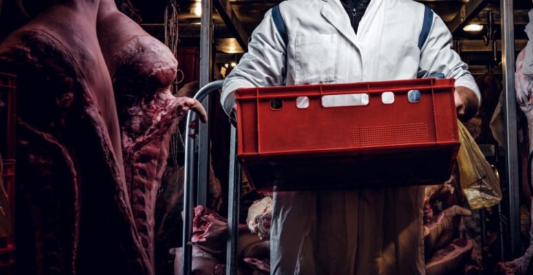 Fases para garantizar el arribo de importación de carne.