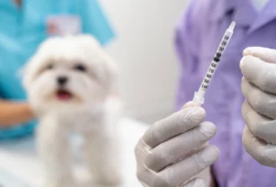 cadena de frío medicamentos veterinarios