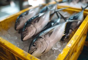 Para el pescado se utiliza una cadena de frío muy especial.
